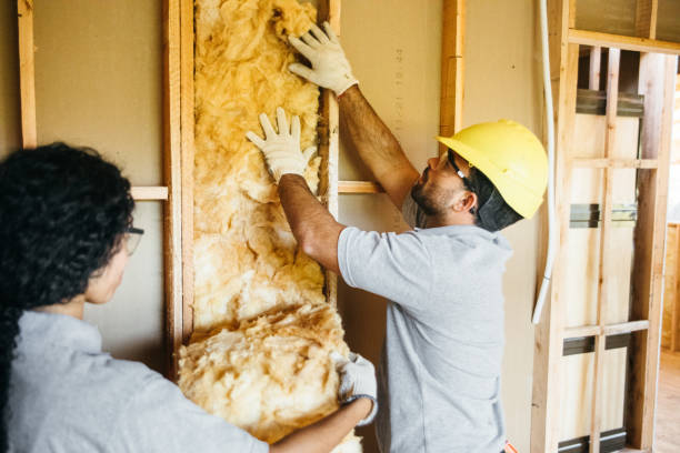 Best Insulation Removal  in Middletown, IN