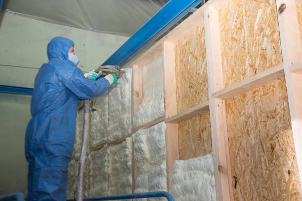 Best Local Insulation Services  in Middletown, IN