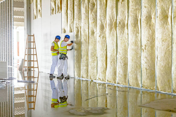 Best Insulation Inspection Services  in Middletown, IN
